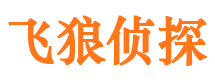 泾阳市调查取证